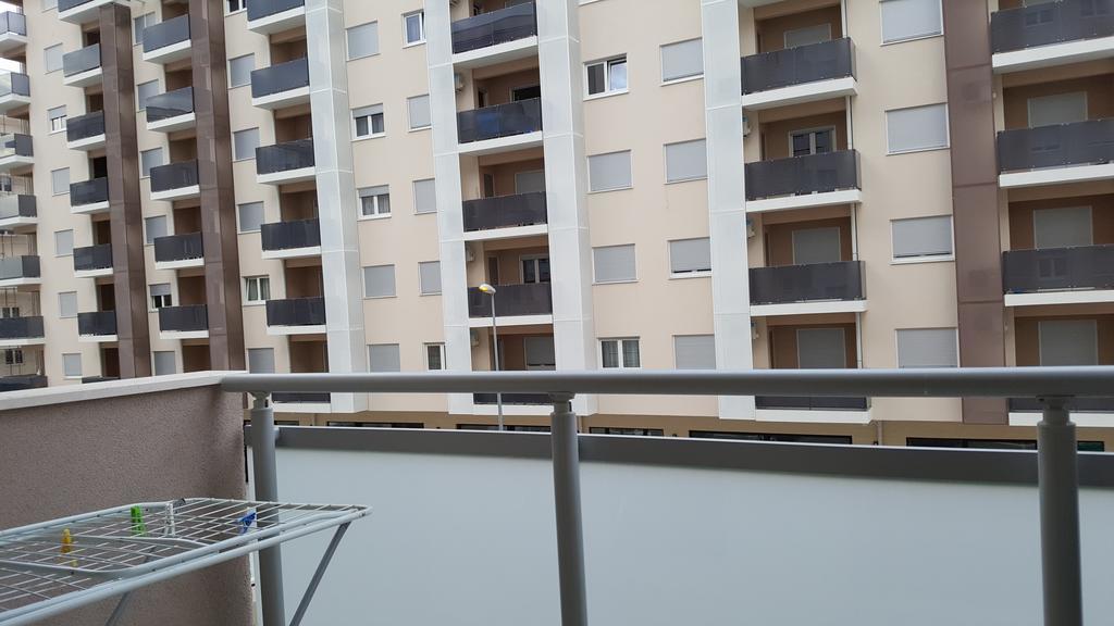 Zebra Apartment