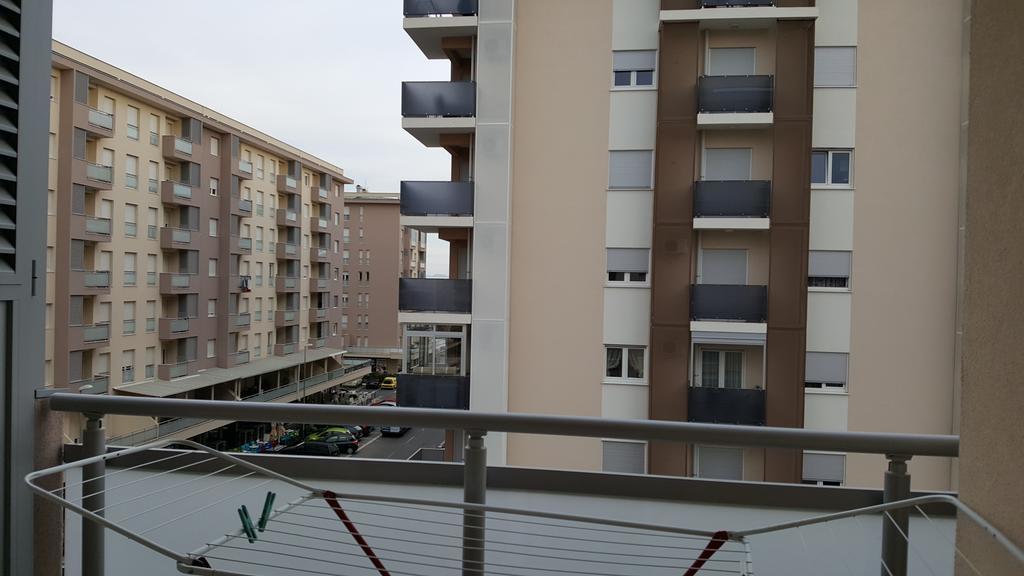 Zebra * Podgorica